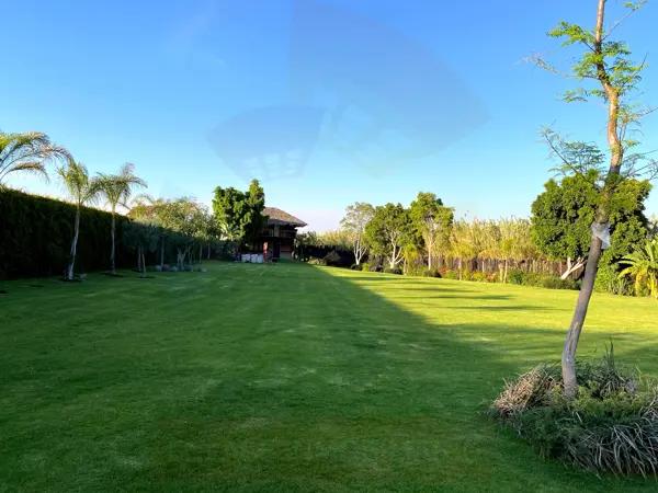 Terreno en Venta cerca de El Carmen, Atlixco, Puebla