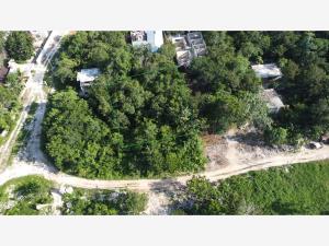 Terreno en venta en Manuel Antonio Ay, Tulum, Quintana Roo
