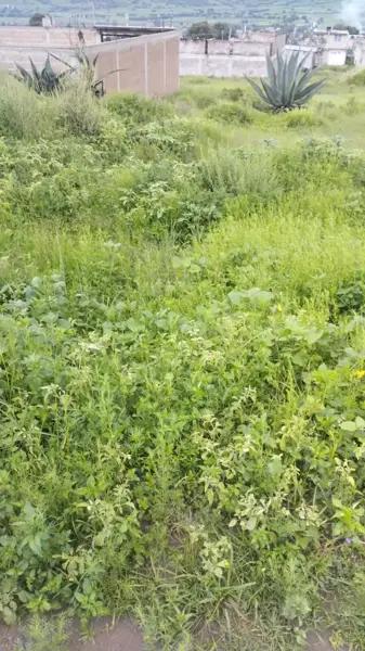 Terreno en venta en Francisco Santillán (Atzizintla Tres), Ixtapaluca, México