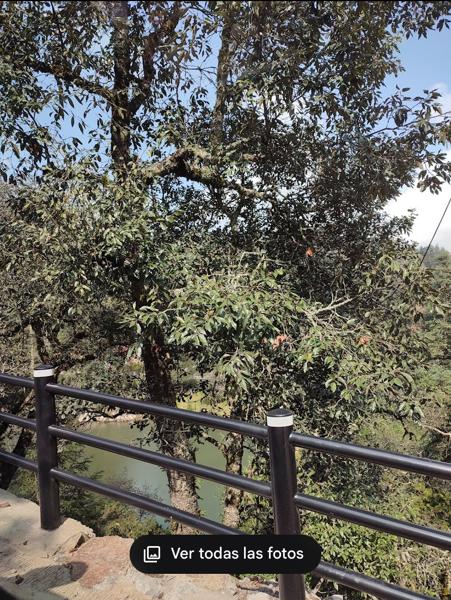 TERRENOS en VENTA en Real del Monte