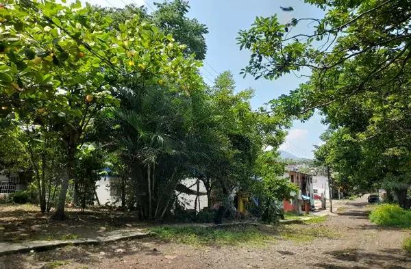 Casa en venta en Tepetapan, Catemaco, Veracruz de Ignacio de la Llave