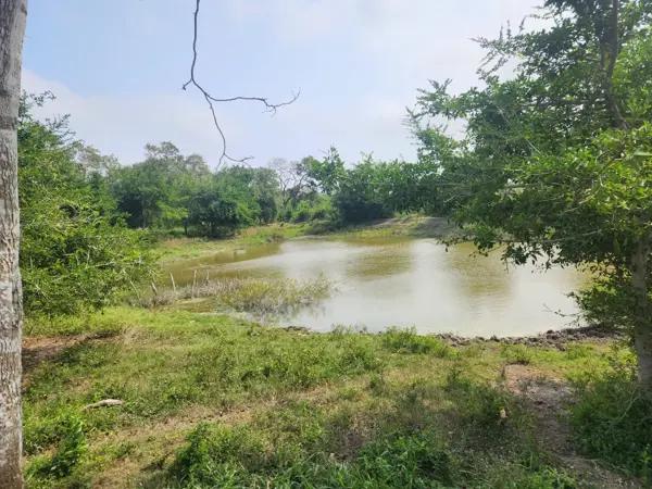 Rancho Venta en Tampico Alto, Veracruz