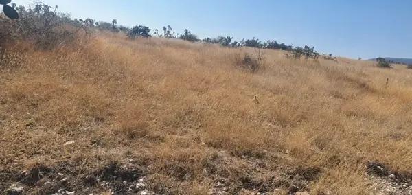 Terreno en venta en El Carmen, Tula de Allende, Hidalgo
