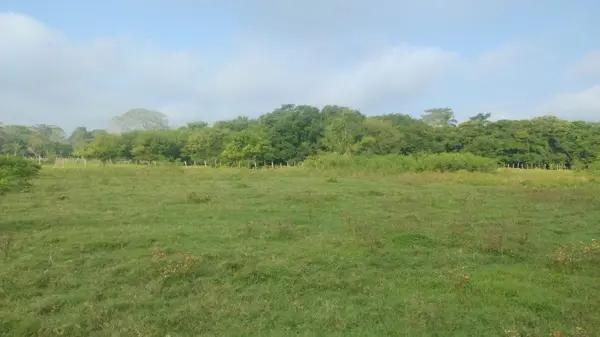 Terreno en Venta en Lagartera 1era. Sección Centro Tabasco