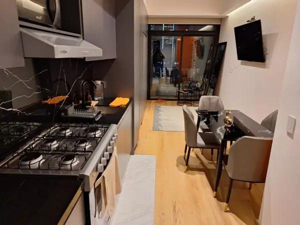 Exclusive Expat Loft On Insurgentes Near Reforma.
