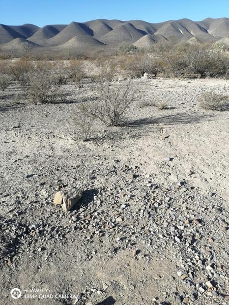 Terreno rústico en ejido Las Mangas Coahuila