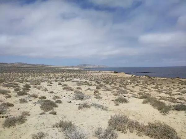 Terreno en Venta frente al Mar Bahía Tortuga BCS