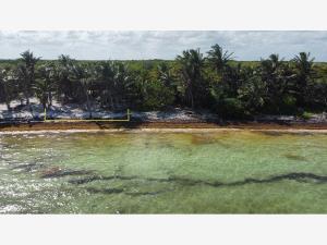 Terreno en venta en Xcalak, Othón P. Blanco, Quintana Roo
