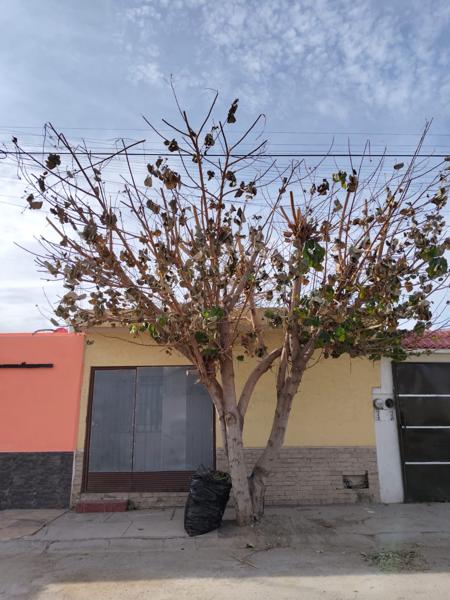 CASA EN VENTA EN VILLAS UNIVERSIDAD