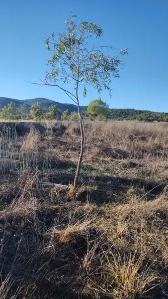 Terreno para construcción de cabañas en Venta en Tapalpa Country Club, Jalisco