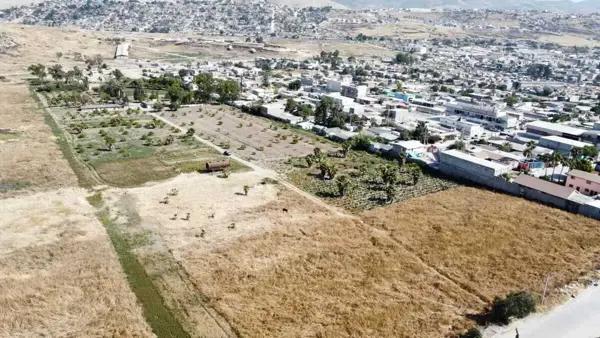 Terreno en venta en La Morita, Tijuana, Baja California