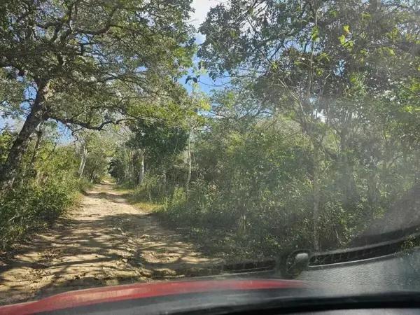 Terreno en venta en Tuxtla Gutiérrez (Francisco Sarabia), Ocozocoautla de Espinosa, Chiapas