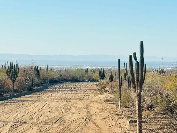 ¡Tú mejor oportunidad de inversión comienza hoy! La Paz,  la zona de mayor crecimiento en BCS.