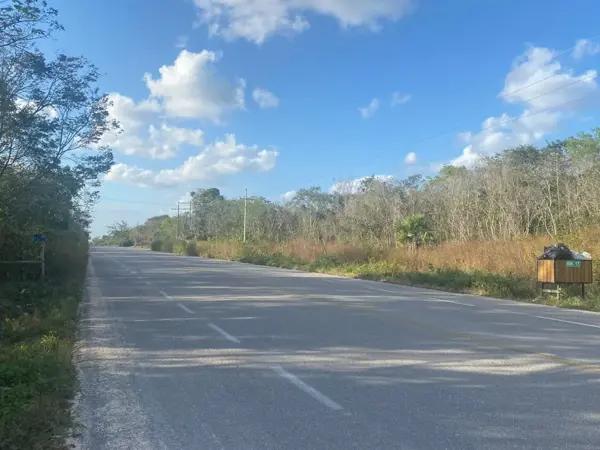 Terreno en venta en Macario Gómez, Tulum, Quintana Roo
