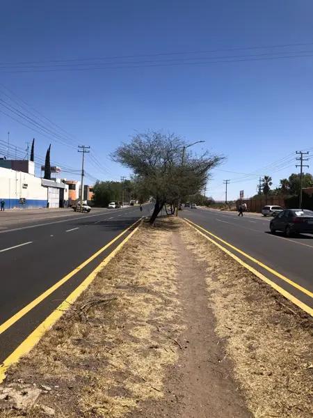 RENTA DE TERRENO