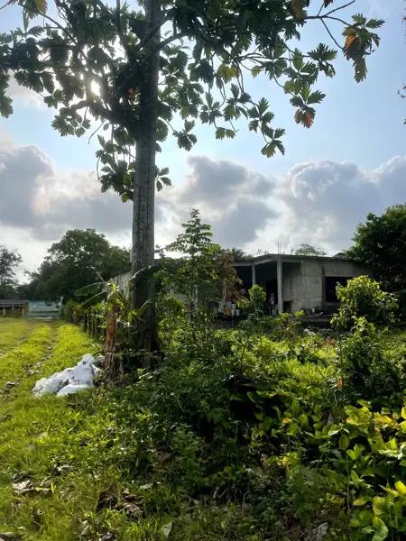 VENTA TERRENO JALPA DE MENDEZ