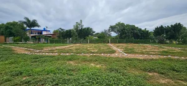 LOTES PLANOS CON LUZ EN CUILAPAM OAXACA