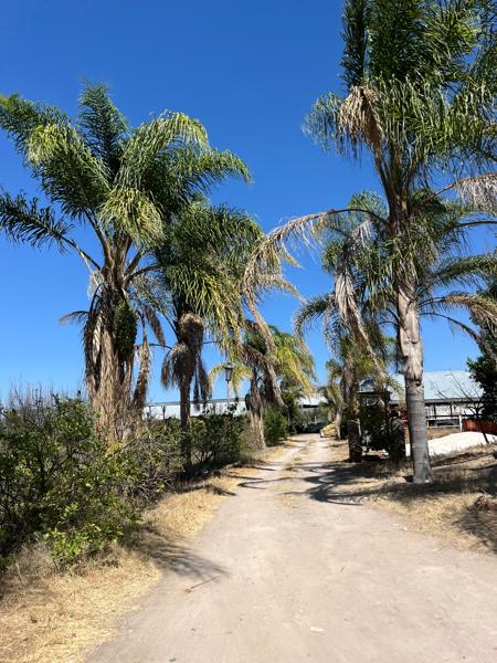 RANCHO EN VENTA SAN JUAN DEL RÍO