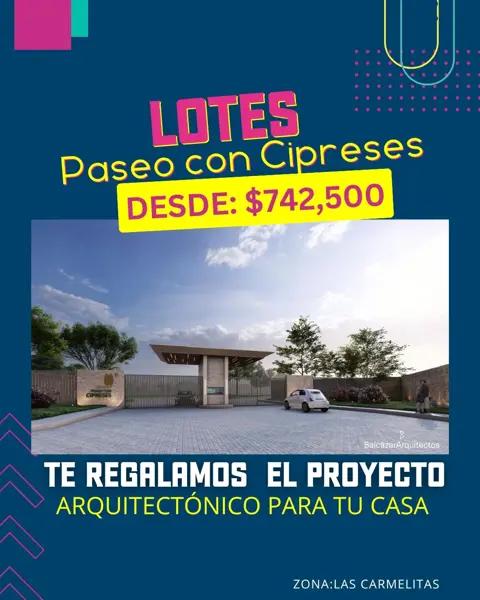 Terreno Fracc Las Carmelitas