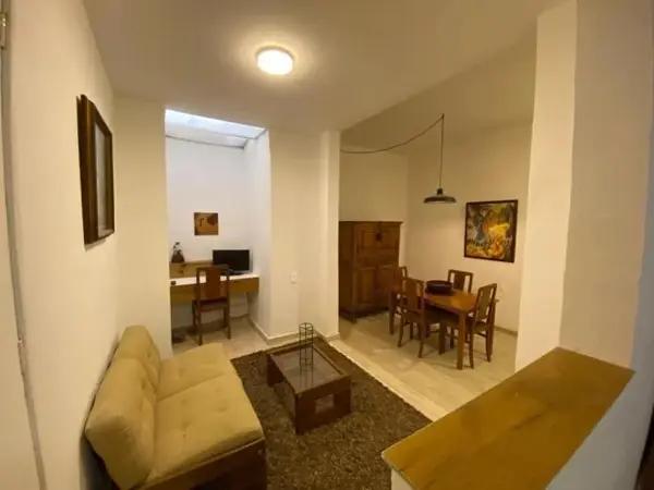 Se Renta Loft en Rio Balsas 60 m². AY83