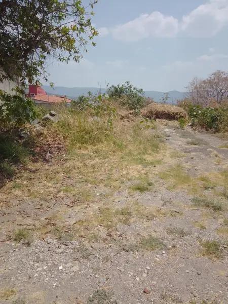 Lote Residencial en fraccionamiento vigilancia Buen precio