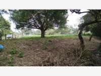 Terreno en venta en El Guasimal, Medellín de Bravo, Veracruz de Ignacio de la Llave Terreno en venta en El Guasimal, Medellín de Bravo, Veracruz de Ignacio de la Llave