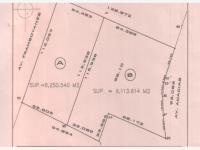 Terreno en venta en Bruno Pagliai, Veracruz, Veracruz de Ignacio de la Llave Terreno en venta en Bruno Pagliai, Veracruz, Veracruz de Ignacio de la Llave