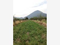 Terreno en venta en El Tunal, Arteaga, Coahuila de Zaragoza Terreno en venta en El Tunal, Arteaga, Coahuila de Zaragoza