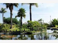 Terreno en venta en Lomas de Angelópolis, San Andrés Cholula, Puebla Terreno en venta en Lomas de Angelópolis, San Andrés Cholula, Puebla