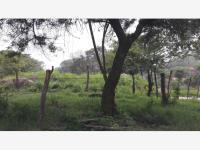 Terreno en venta en Comala, Comala, Colima Terreno en venta en Comala, Comala, Colima
