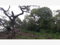 Terreno en venta en Comala, Comala, Colima Terreno en venta en Comala, Comala, Colima