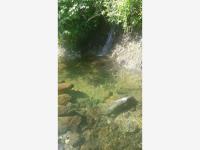 Terreno en venta en Minatitlan, Minatitlán, Colima Terreno en venta en Minatitlan, Minatitlán, Colima