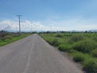 Terreno en venta en El Olivo, Matamoros, Coahuila de Zaragoza Terreno en venta en El Olivo, Matamoros, Coahuila de Zaragoza