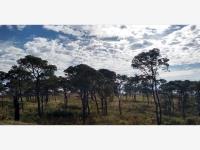 Terreno en venta en Cuauhtemoc, Cuauhtémoc, Colima Terreno en venta en Cuauhtemoc, Cuauhtémoc, Colima