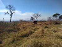 Terreno en venta en Alcaraces, Cuauhtémoc, Colima Terreno en venta en Alcaraces, Cuauhtémoc, Colima