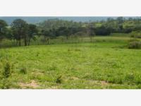 Terreno en venta en Cuauhtemoc, Cuauhtémoc, Colima Terreno en venta en Cuauhtemoc, Cuauhtémoc, Colima