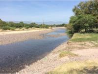 Terreno en venta en León Guzmán, Lerdo, Durango Terreno en venta en León Guzmán, Lerdo, Durango