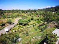 Finca-Rancho en venta en Lozano de la Montaña, Comala, Colima Finca-Rancho en venta en Lozano de la Montaña, Comala, Colima