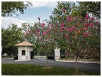Terreno en venta en Peña Alta, Saltillo, Coahuila de Zaragoza Terreno en venta en Peña Alta, Saltillo, Coahuila de Zaragoza