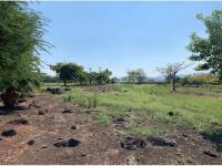 Terreno en venta en Benito Juarez, Emiliano Zapata, Morelos Terreno en venta en Benito Juarez, Emiliano Zapata, Morelos
