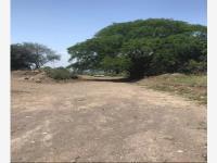 Terreno en venta en Chiapa, Cuauhtémoc, Colima Terreno en venta en Chiapa, Cuauhtémoc, Colima