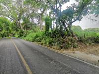 Terreno en venta en Carretera Chivato, Villa de Álvarez, Colima Terreno en venta en Carretera Chivato, Villa de Álvarez, Colima