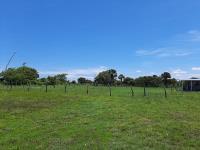 Terreno en venta en Salinas, Alvarado, Veracruz de Ignacio de la Llave Terreno en venta en Salinas, Alvarado, Veracruz de Ignacio de la Llave
