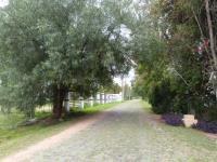 Terreno en venta en La Punta, Apaseo El Grande, Guanajuato Terreno en venta en La Punta, Apaseo El Grande, Guanajuato