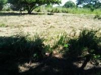 Terreno en venta en Mata de Pita, Veracruz, Veracruz de Ignacio de la Llave Terreno en venta en Mata de Pita, Veracruz, Veracruz de Ignacio de la Llave