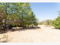 Terreno en venta en Canoas, Lagos de Moreno, Jalisco Terreno en venta en Canoas, Lagos de Moreno, Jalisco