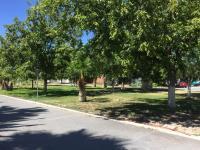 Terreno en venta en San Armando, Torreón, Coahuila de Zaragoza Terreno en venta en San Armando, Torreón, Coahuila de Zaragoza