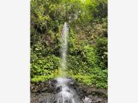 Terreno en venta en Tebanca, Catemaco, Veracruz de Ignacio de la Llave Terreno en venta en Tebanca, Catemaco, Veracruz de Ignacio de la Llave
