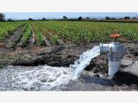 Terreno en venta en Paila, Parras, Coahuila de Zaragoza Terreno en venta en Paila, Parras, Coahuila de Zaragoza