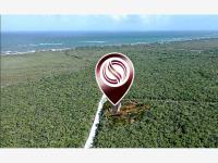 Departamento en venta en Akumal, Tulum, Quintana Roo Departamento en venta en Akumal, Tulum, Quintana Roo